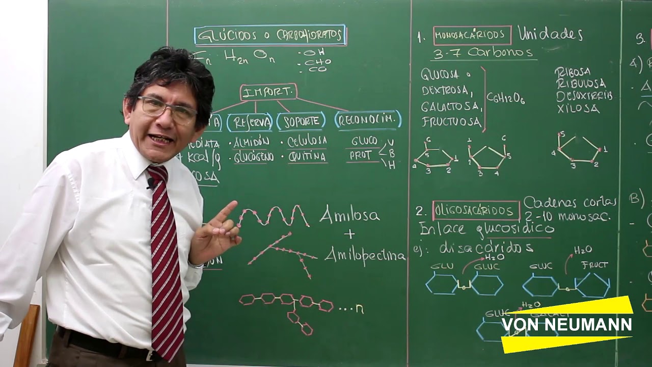 Glúcidos y carbohidratos - Parte 1 de 3