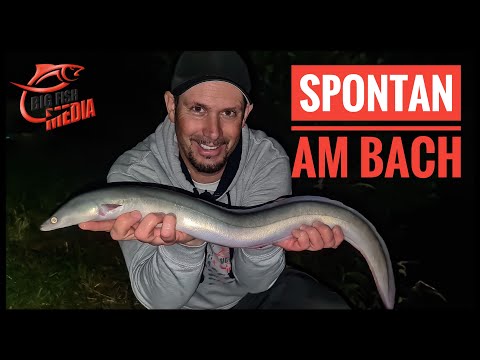 Das letzte Mal am Bach - Christian fängt den weissen Aal