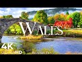 Wales (UK) • Relaxation Film - Peaceful Relaxing Music - Nature 4k Video UltraHD