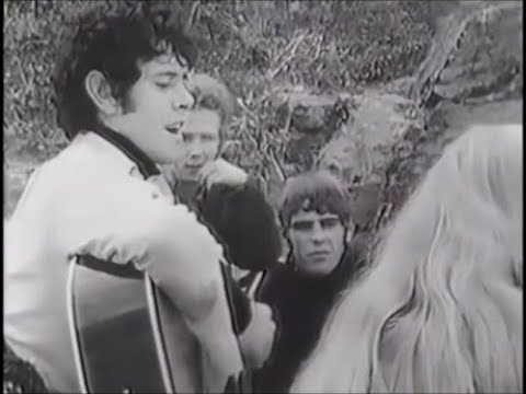 NEW * Catch The Wind - Donovan {Stereo} 1965