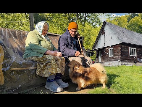 Village Life in Mountains and 2 more