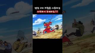 명검 2대귀철을 사용하는 조로