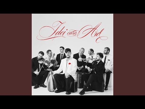 Sanie Cu Zurgalai Johnny Is the Boy for Me