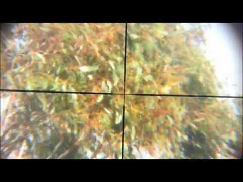 Pellet flight  wind induced instability to 150 yards