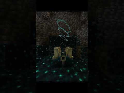 Unbelievable Minecraft Tik Tok #shorts