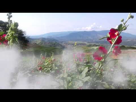 Nyob ib leeg luj yaj karaoke /instrumenl คาราโอเกะ ลู่ย่า