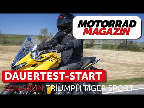 Long-term test start: Triumph Tiger Sport 800 – What can the cat do and what do we plan to do wit...