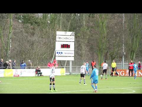 Zwaluwen - Noordwijk