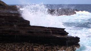 Plus One - Here I Am to Worship