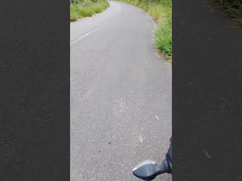 Partiu Dores do Turvo