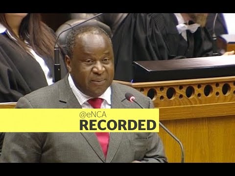 Mboweni delivers mini budget