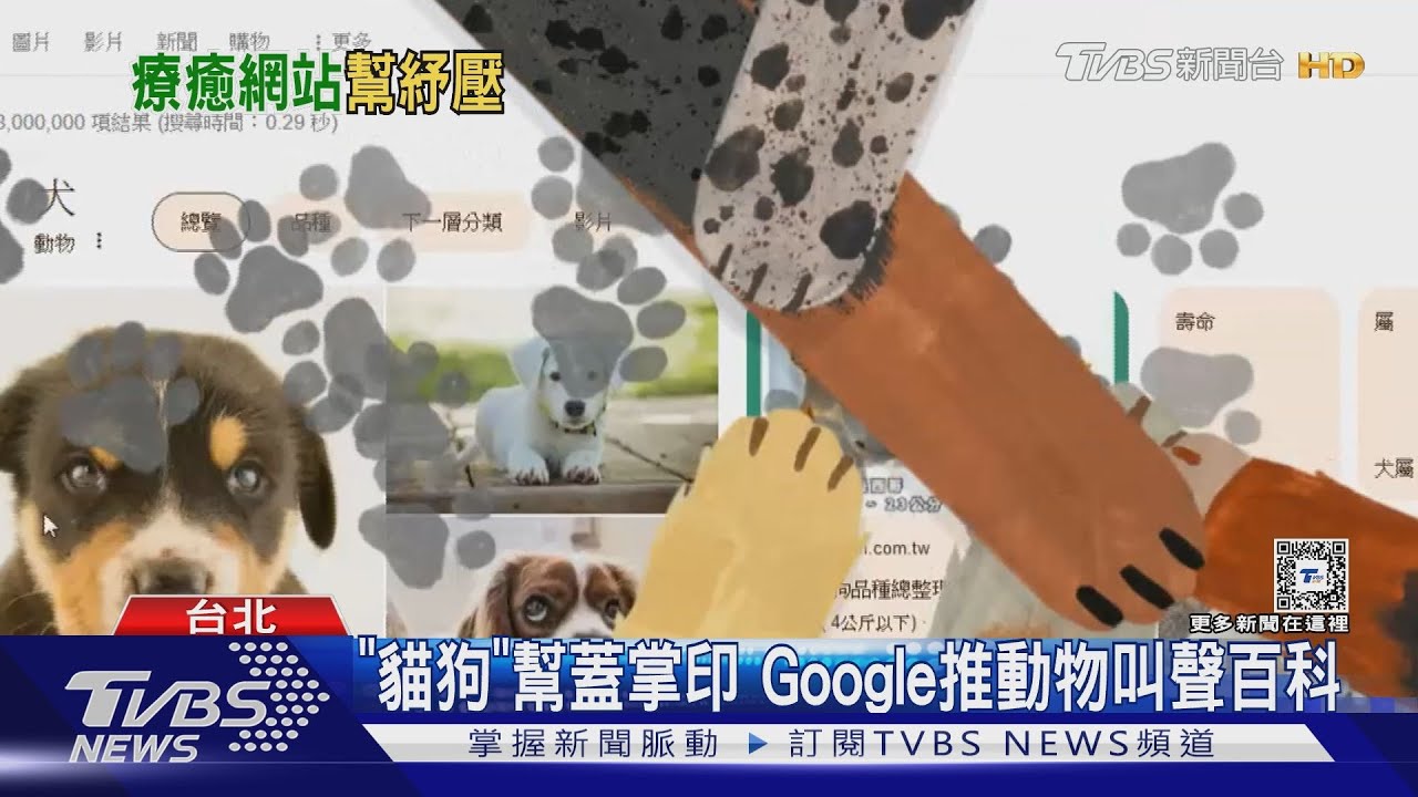 療癒的廢物網站!Google「搜尋彩蛋」互動滿分 1神秘網頁網喊:超實用