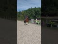 Super hongre PRE assurance vie polyvalent