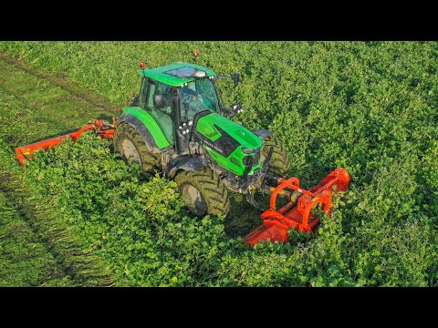 Tierre Productvideo 2019 | TCL Pro 230 & Pantera 300 | Mowing green manure with Tierre
