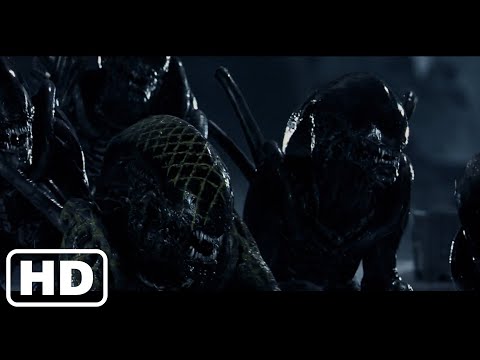 alien vs predator 2 full movie free download mp4 alien vs predator 2 full movie free download mp4