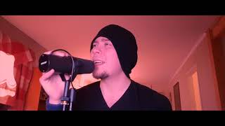 Download lagu Sum 41 - With Me (Cover by Vidar Helander) mp3