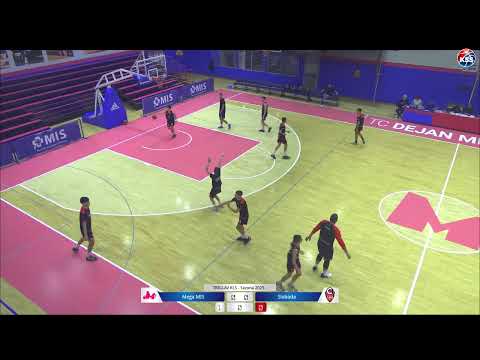 TRIGLAV KLS Mega MIS - Sloboda