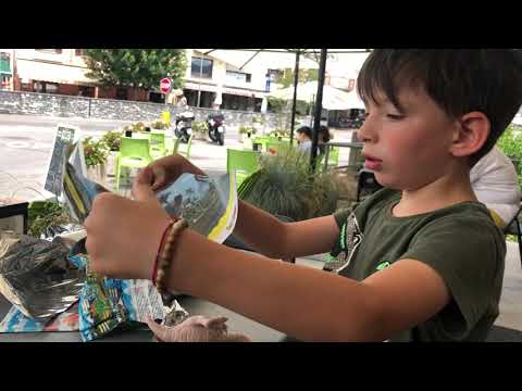 Novità in edicola: Predatori del Jurassiko - unboxing prime 2 bustine