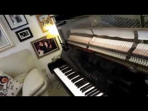 Felipe Campuzano-Las Salinas desde su estudio de Marbella  (Spain).-