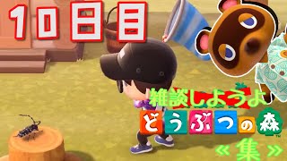 【あつ森】雑談しようよ、どうぶつの森《集》【実況】 １０日目