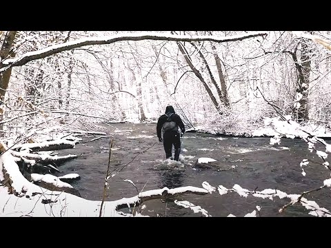 Steelhead Fishing a Beautiful Snow-Covered River
