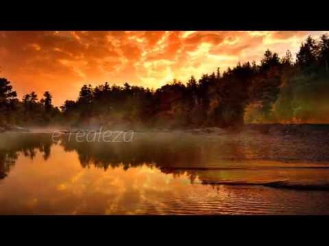 Salmo 5 video