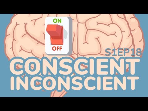 Qu'est-ce que le conscient et l'inconscient ?  S1EP18