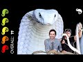 King Cobra The Best Pet Snake The Most DANGEROUS Day Of My Life