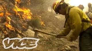 How to Fight Forest Fires