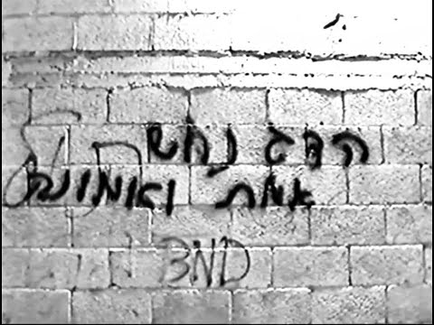 הדג נחש - ״אמת ואמונה״ סרטה של תמר שלוי