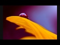 Pehli Baar Milke Lyrics By Iski Topi Uske Sarr 1998 Full HD Song