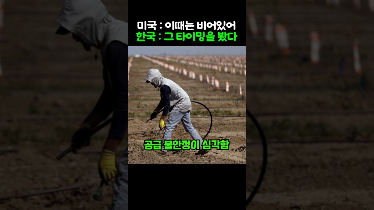 공급이 멈춘 미국 겨울 시장, 관세 장벽 넘어선 K-포도 전략기술