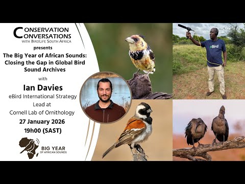 Conservation Conversations: The Big Year of African Sounds- Ian Davies (27 Jan 2026)