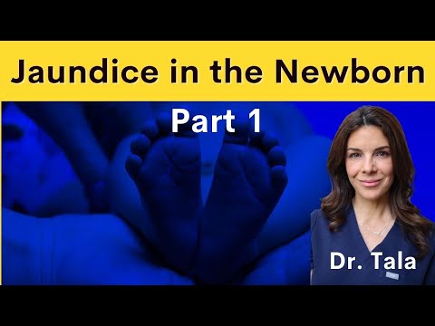 Indirect Vs. Direct Bilirubin! Learn the BASICS of jaundice!!!