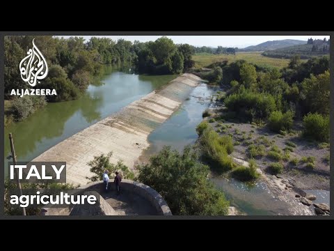 Record heatwaves, droughts devastate Italy agriculture