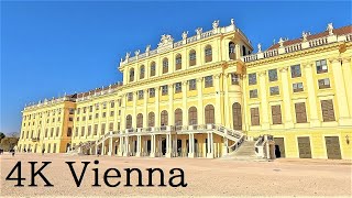 【ウィーン街歩き🌟Vienna Travel】秋色!黄色いお城 シェーンブルン宮殿の周りを一周歩いてみた ⭕Schönbrunn Palace~Schloss Schönbrunn~Wien