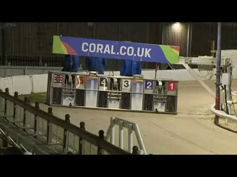 Signet Mafia - Coral Golden Sprint Round 1