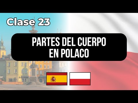 Partes del cuerpo en POLACO - Clase #23 👉 Lecciones para hispanohablantes