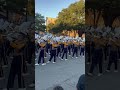 Louisiana Saturday! The Golden Band from Tiger Land #LSU #lsufootball #victoryhill #football #tigers