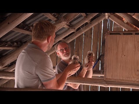 De Achterhoek | BuitenGewoon 30 juni 2018