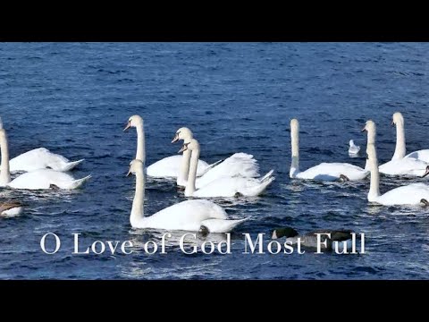 077 SDA Hymn - O Love of God Most Full (Singing w/ Lyrics)