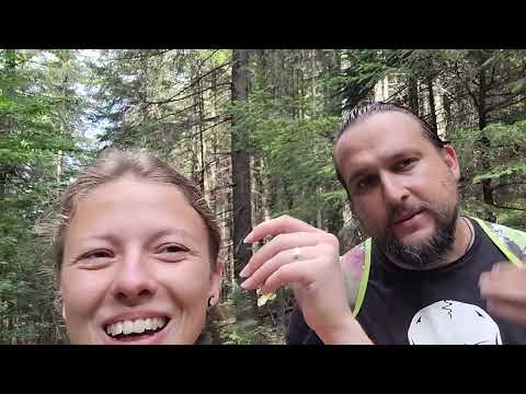 Lacul Roșu - traseul spre Vârful Ghilcoș. Cheile Bicazului și Munții Hășmaș, de ziua lui Bubu