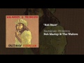 Rat Race (1976) - Bob Marley & The Wailers