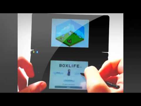 Art Style : BOXLIFE Nintendo DS