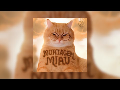 LENAR - MONTAGEM MIAU