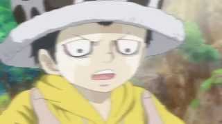 Don't you worry Law (Trafalgar Law AMV)