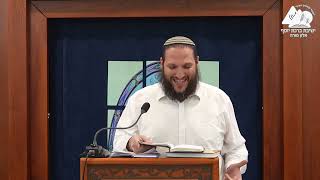 להאיר את העצמיות | הרב שחר אימבר | שיחות התחזקות | 11 (ישיבת ברכת יוסף - אלון מורה) - התמונה מוצגת ישירות מתוך אתר האינטרנט יוטיוב. זכויות היוצרים בתמונה שייכות ליוצרה. קישור קרדיט למקור התוכן נמצא בתוך דף הסרטון