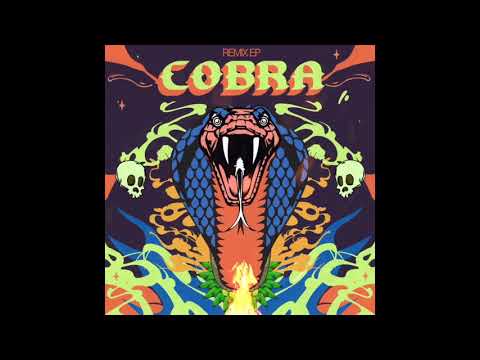 Dutty Deedz & Su Real - "COBRA" ft. General Zooz, Shah Rule & Kavin (Mr. Doss Remix)