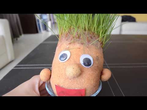 ¿Como hacer un muñeco Cabeza de pasto?