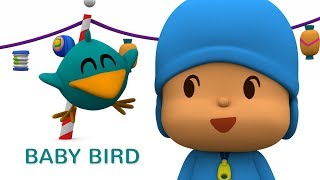 Pocoyo- Baby Bird&#39;s Adventures 🐥50 minutes | Cartoons for Kids